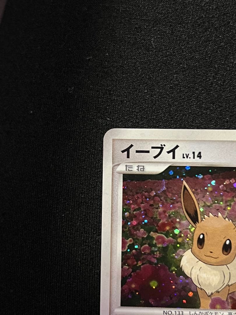 ポケモンカード イーブイ PROMO DPプロモーションカード 063/DP-P