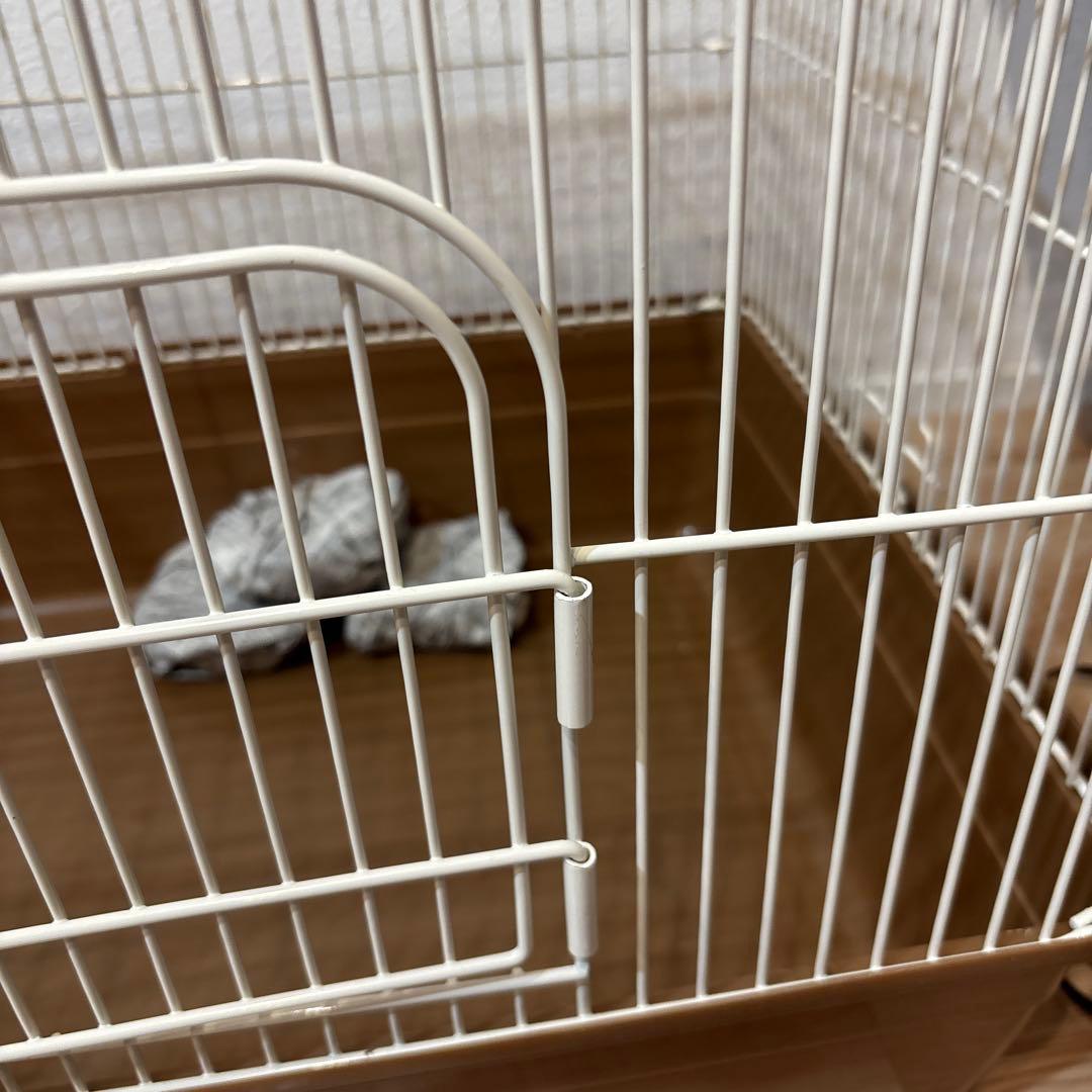 小動物飼育セット（ハリネズミ）　マルカン　セラミックヒーター　100W