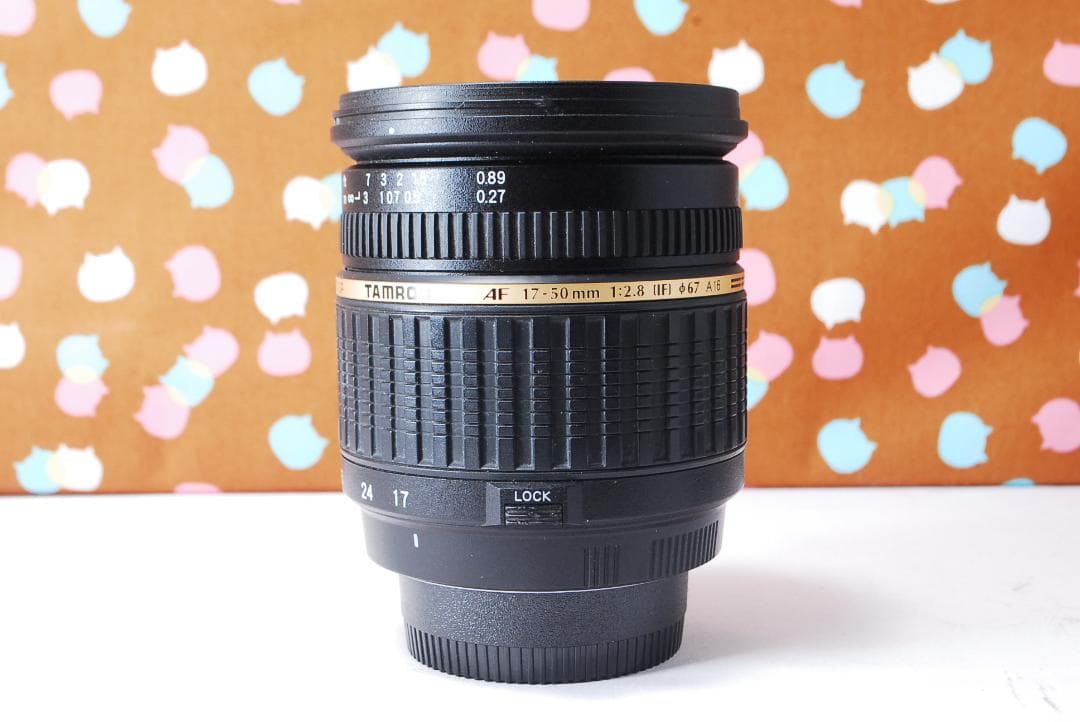 ✨美品✨ハイアマチュア機✨Nikon D100 レンズセット