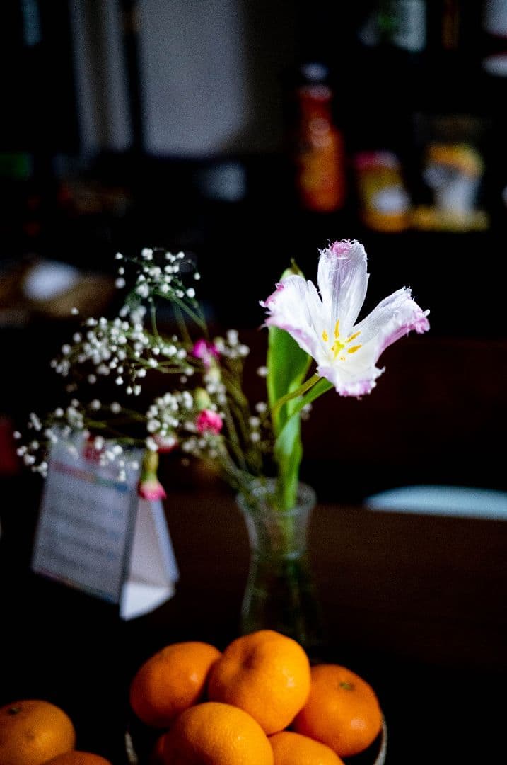 美品Voigtländer COLOR-SKOPAR 50mm F2.2オマケ付