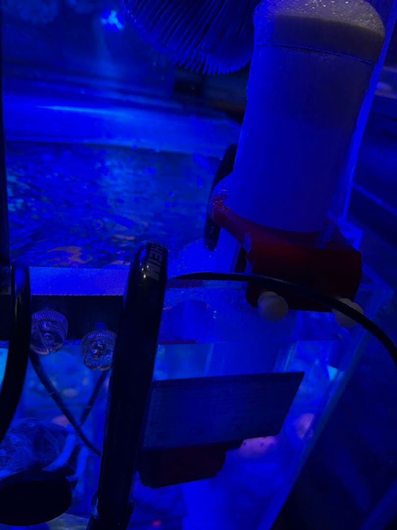 プロテインスキマー‼️Freewind社製‼️300ℓ 対応‼️海水専用‼️破格出品‼️