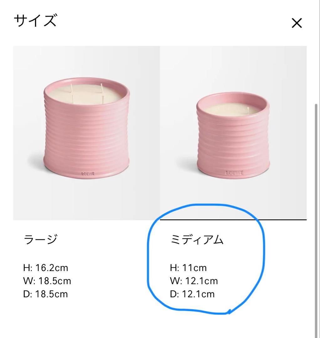 LOEWE アイビーキャンドル ミディアム ピンク 610g