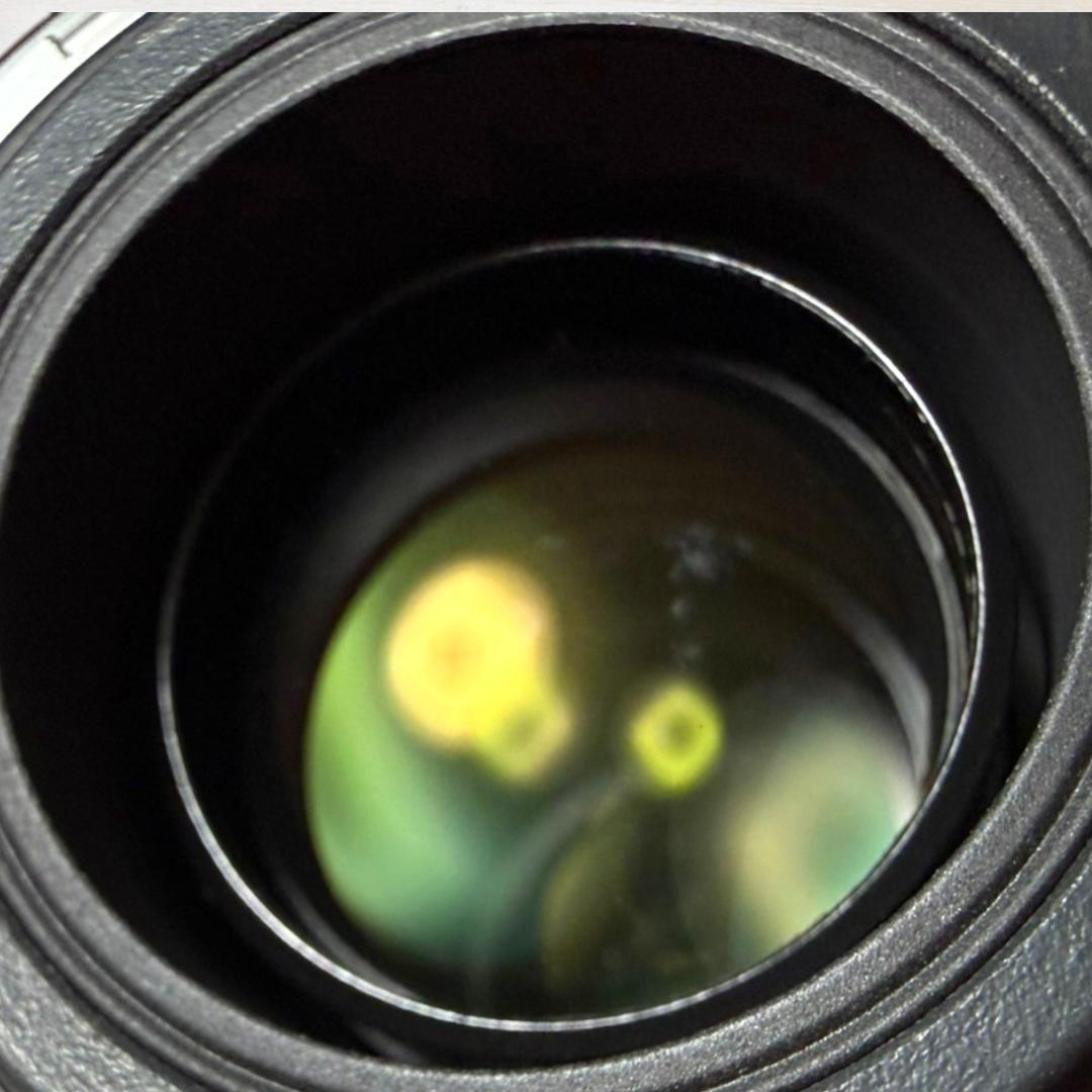 Canon ズームレンズ EF-S 18-135mm IS #436