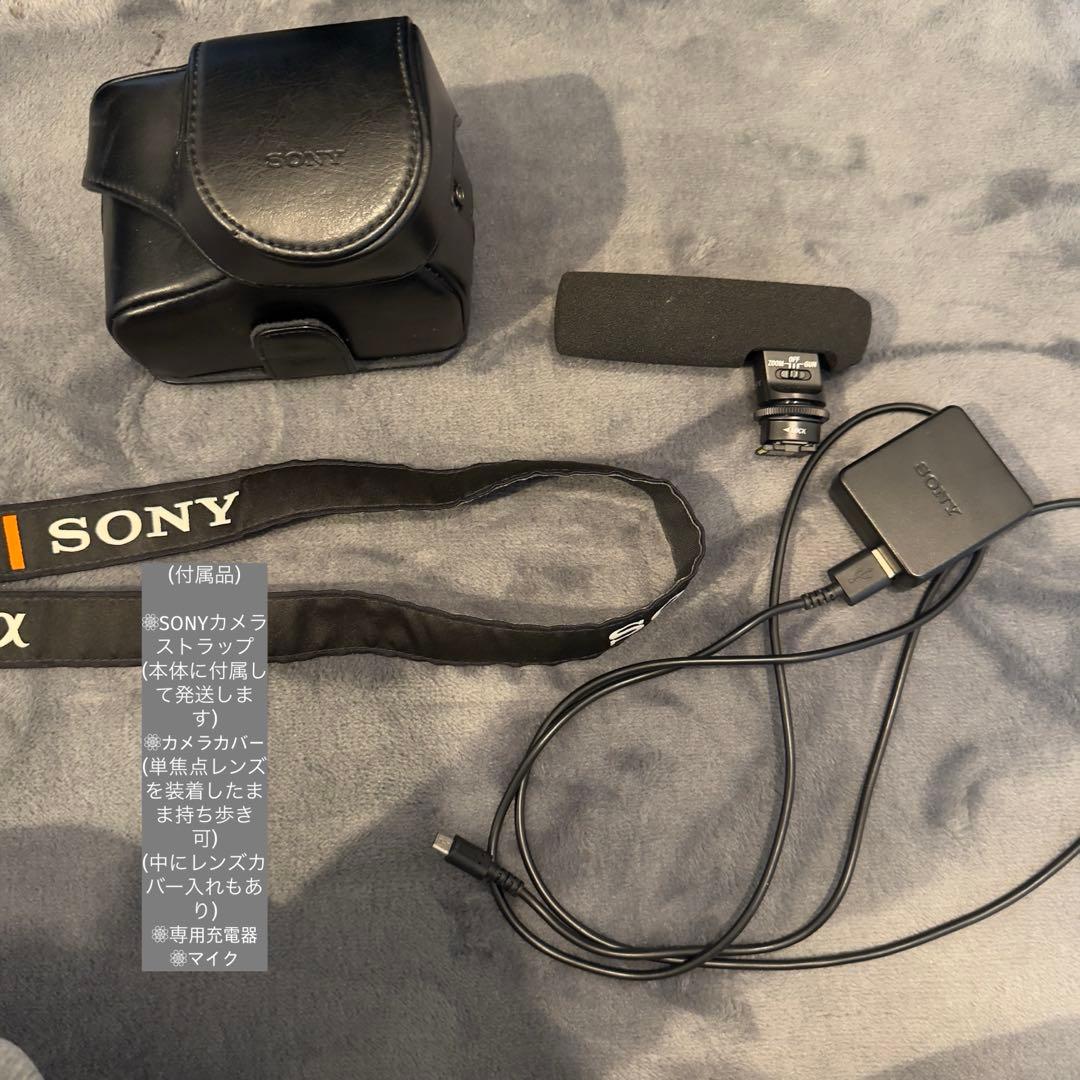Sony α6000 ダブルレンズ 55-210望遠 外部マイク付