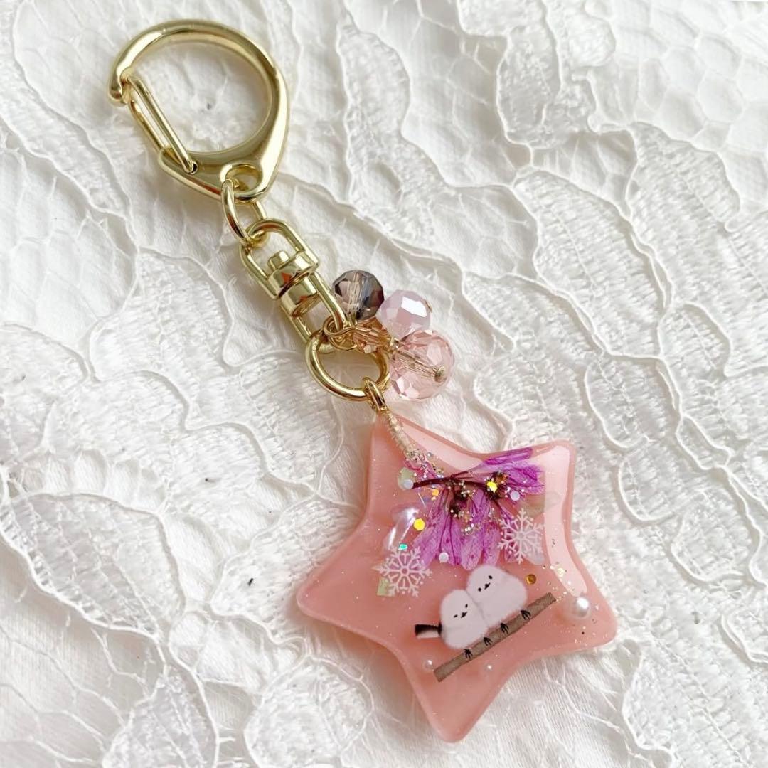【3382】2羽のシマエナガちゃん♡コーラルピンクの星型 ピンクユーフォルビア