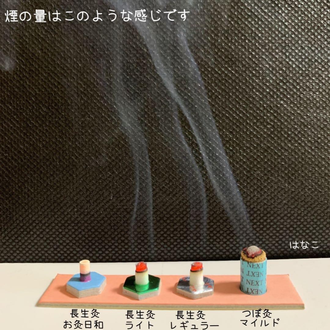 長生灸800壮(ソフト) ＋お灸説明書・ツボ参考図付