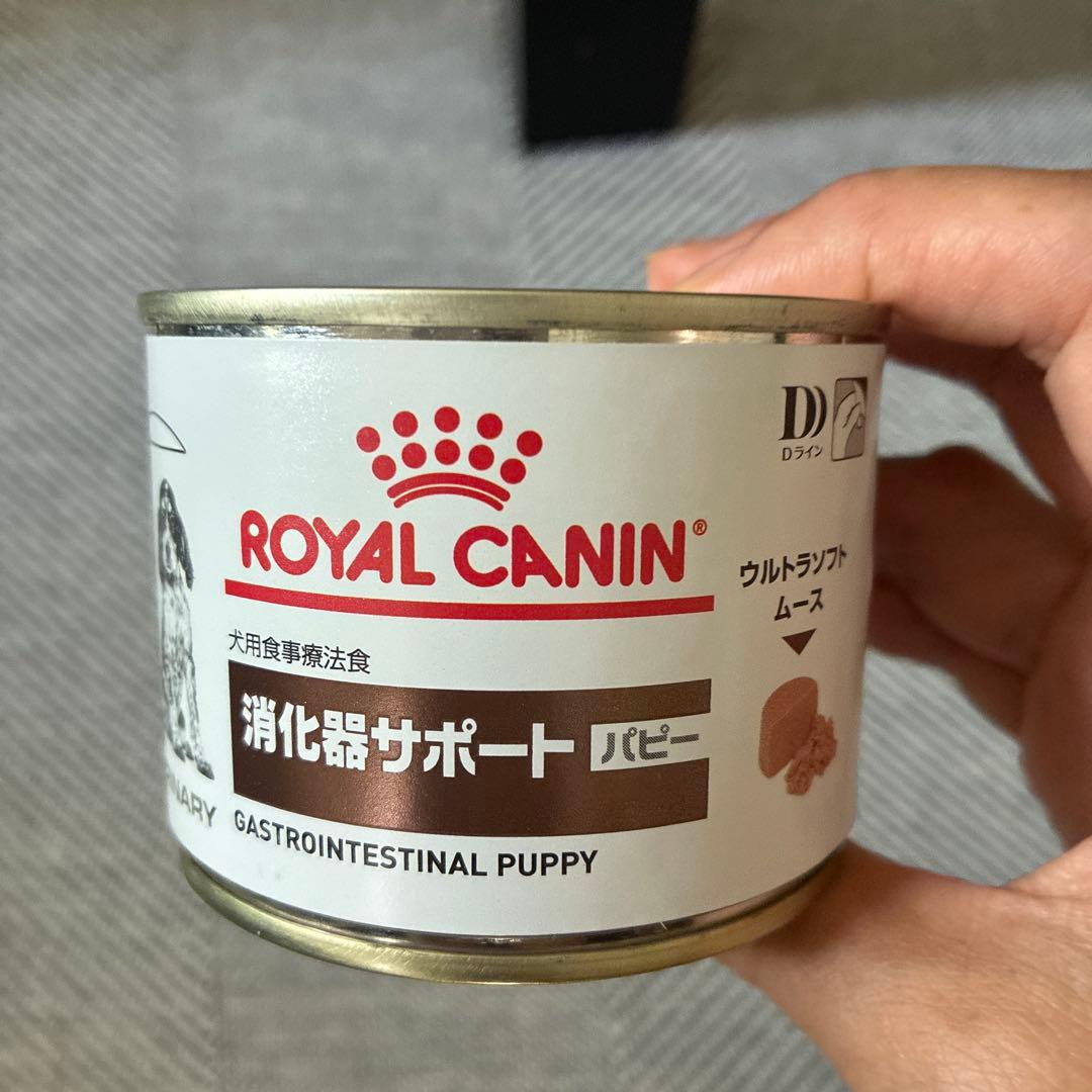  CANIN 消化器サポート 3kg おまけ付き