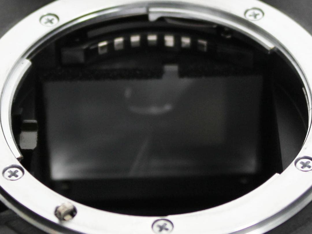 【動作品】Nikon ニコン D100 デジタル一眼レフ ボディ バッテリー付