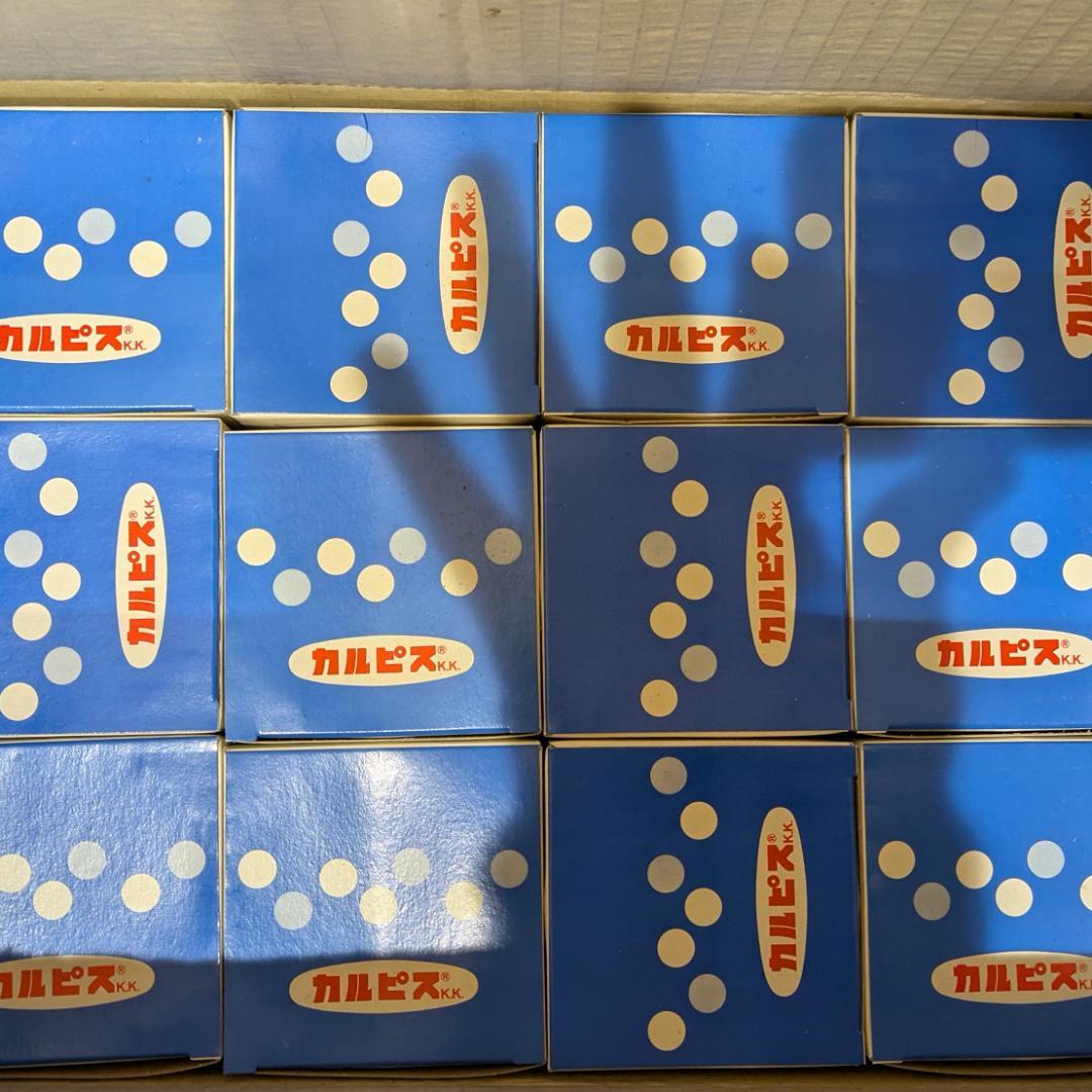 【送料無料】12個セット 未使用品 当時物 カルピス【青】朝顔グラス 昭和レトロ