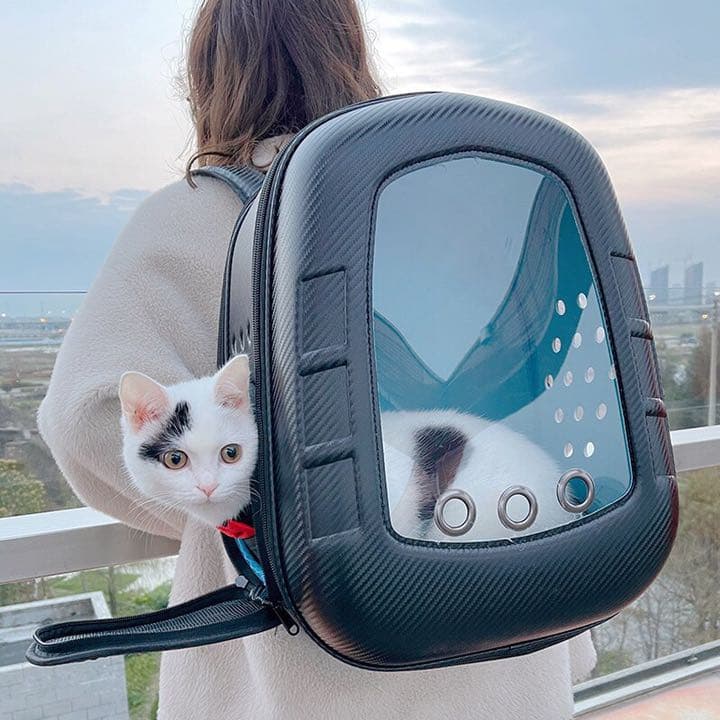新品です