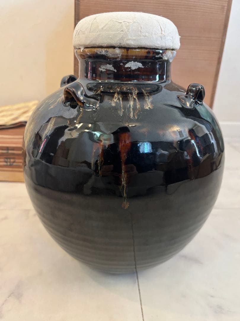 洛東 桶谷定一 作 「天目釉 茶壺・茶壷」飾網紐付