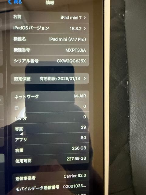 新同iPad mini A17pro,256GB,cellular おまけ有