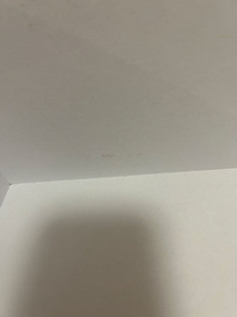 HERMESギフトボックス 特大