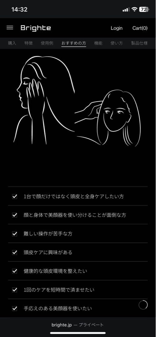 最新版　ブライト　エレキブラシプラス