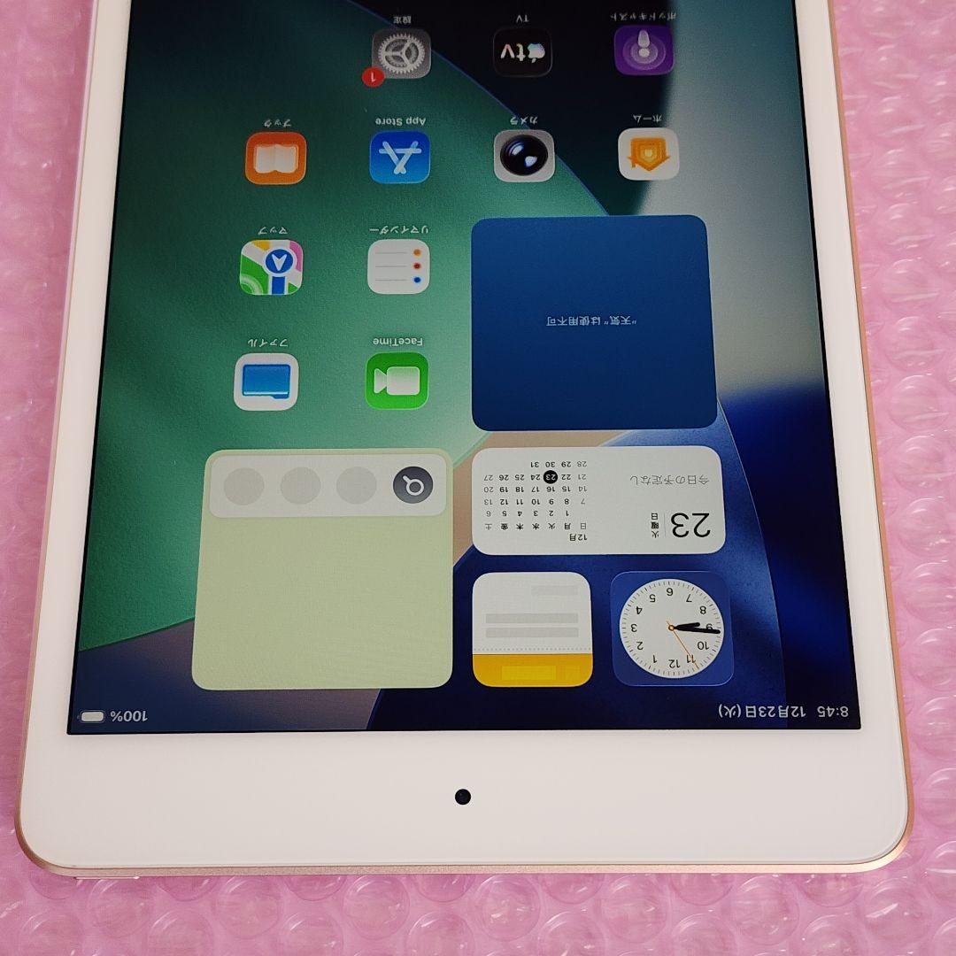 美品　iPad mini 第5世代　バッテリー大変良好　64GB　WiFiモデル