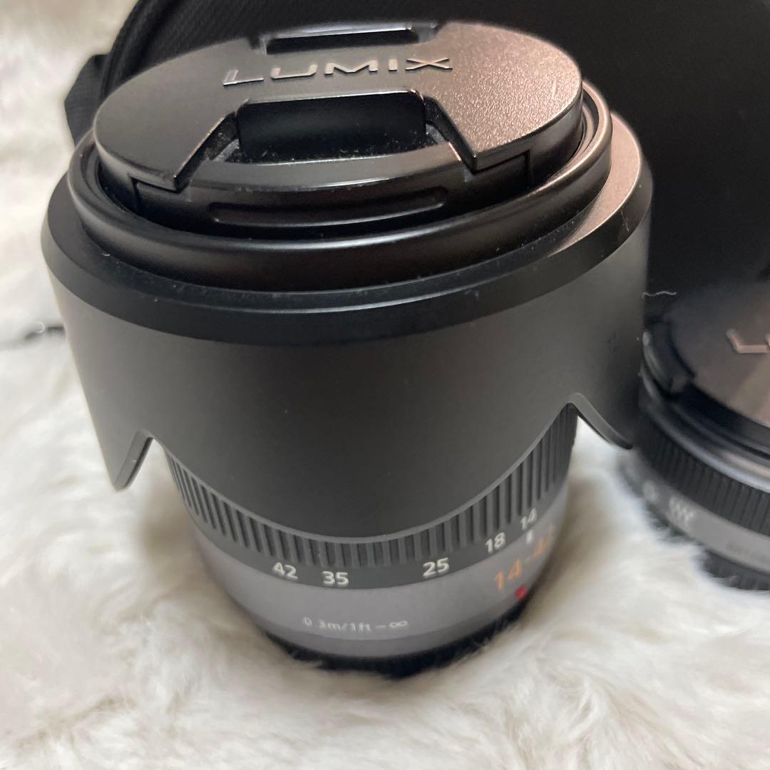 Panasonic LUMIX ダブルレンズキット DMC-GF2 1089.0