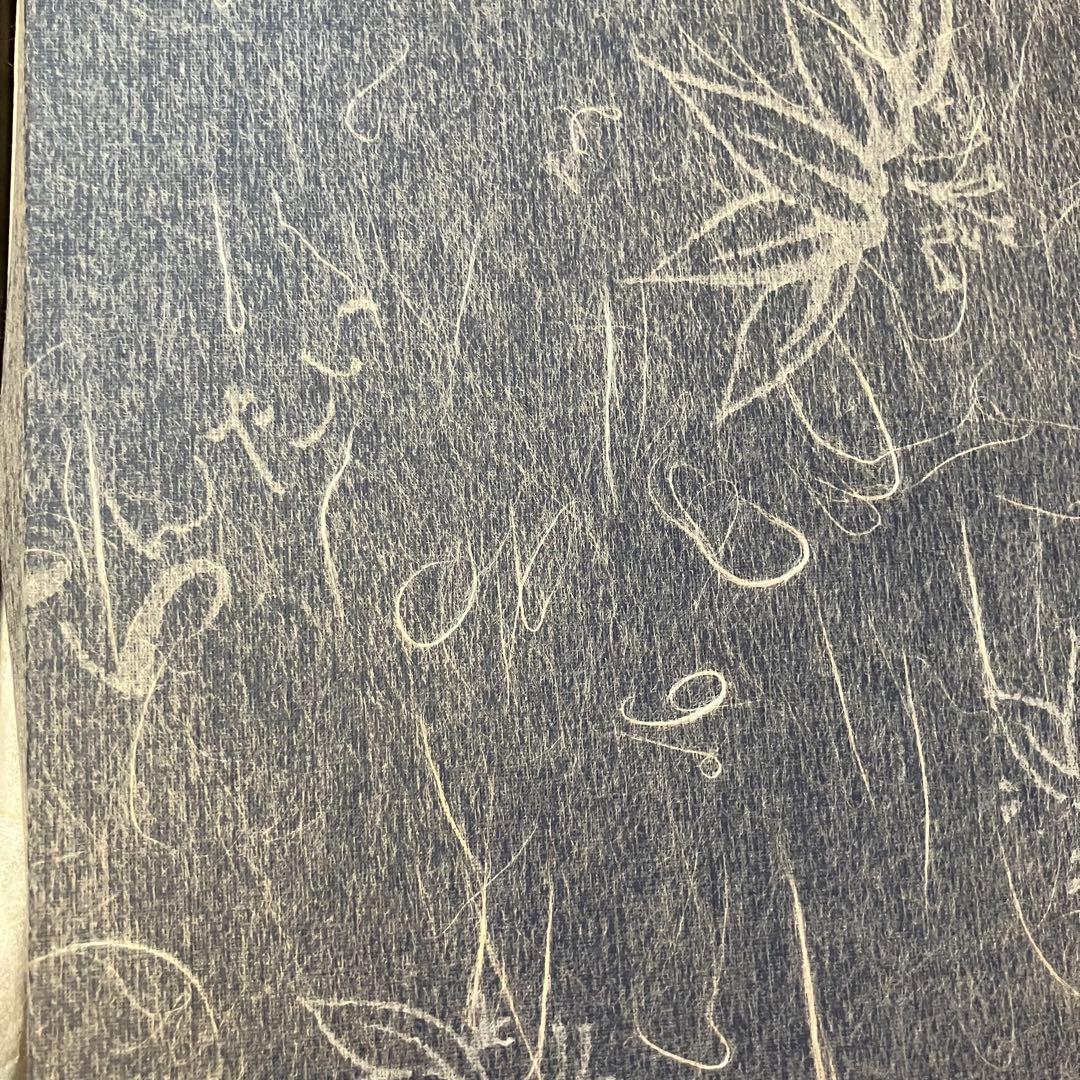 ⭐︎未使用⭐︎久留米特産らんたい漆器 竹細工 長角お盆 高級美術工芸品 茶托5枚付