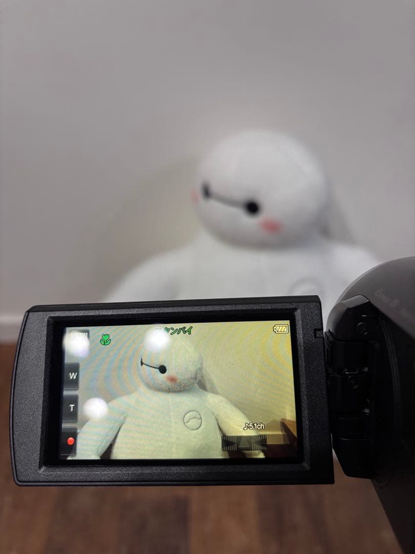 ソニー ハンディーカム HDR-CX675美品