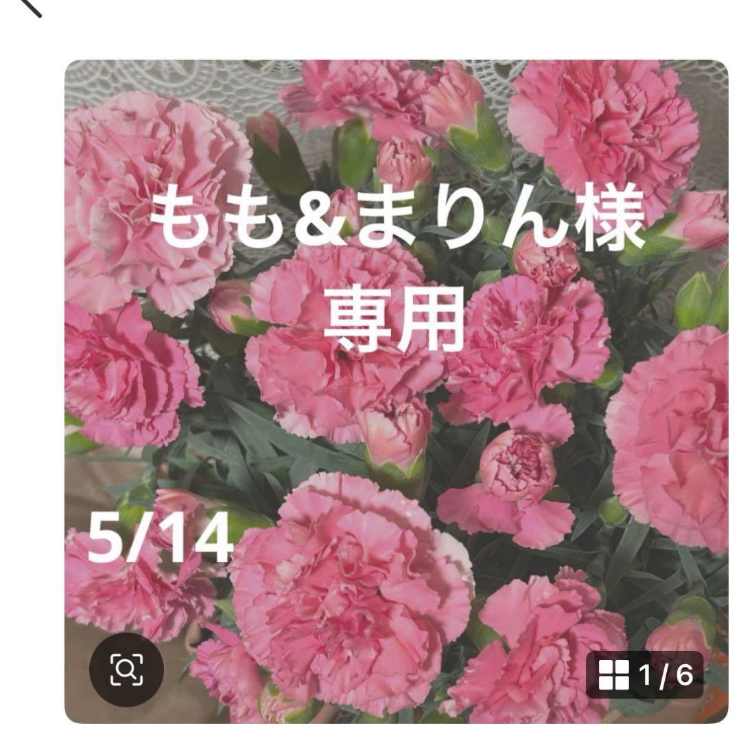 もも&まりん