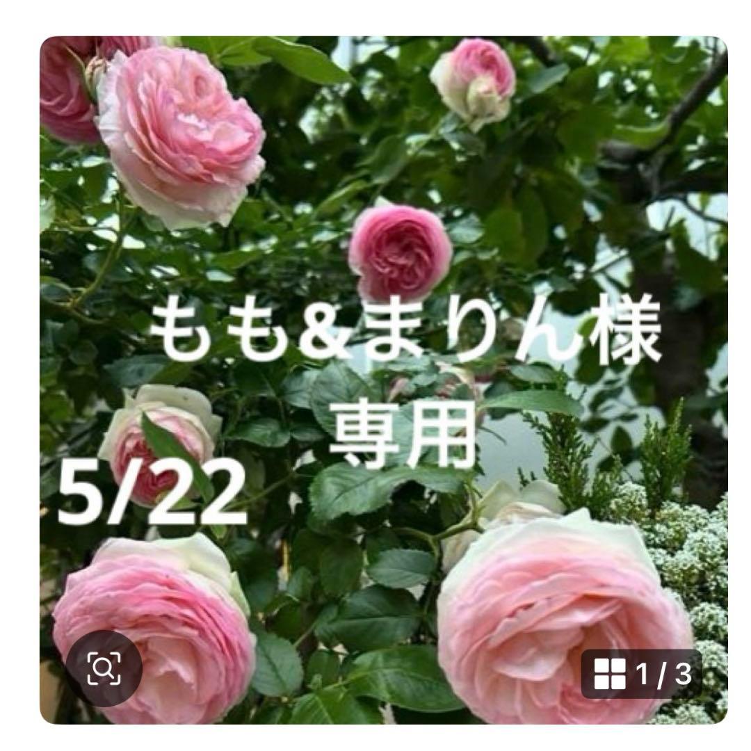 もも&まりん