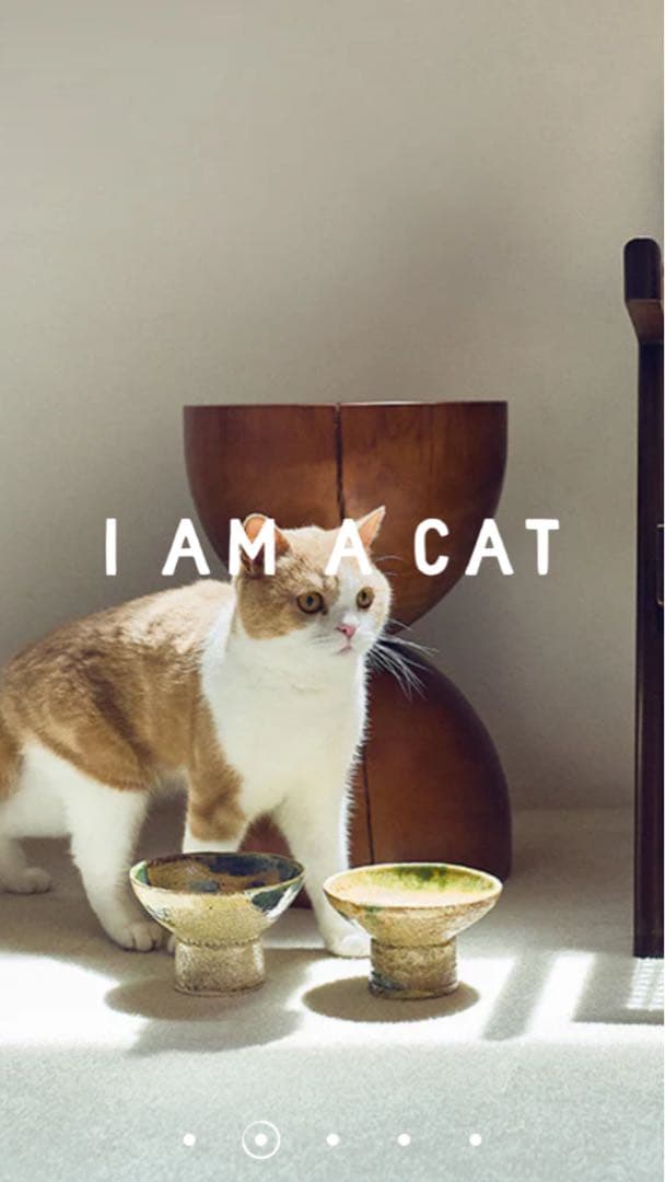 ＩＡＭＣＡＴ　三浦のごはんのうつわ