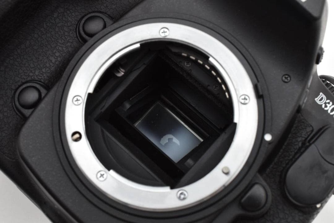 ニコン　Nikon D300 ボディ 《純正バッテリー 充電器付 動作良好》