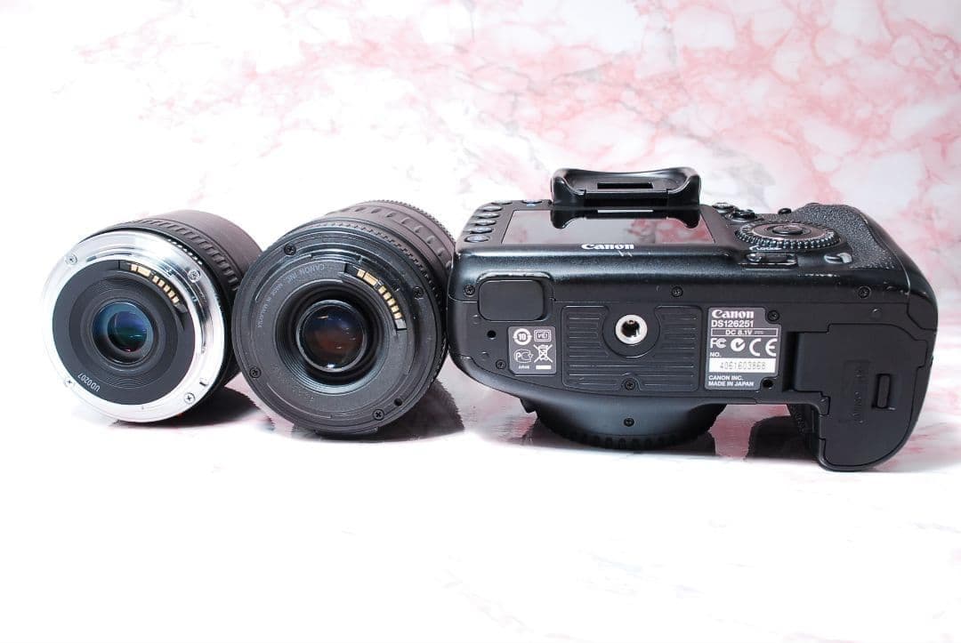 ✨Canon EOS 7D✨標準+超望遠Wレンズ 高速連写 本格撮影 初心者最適