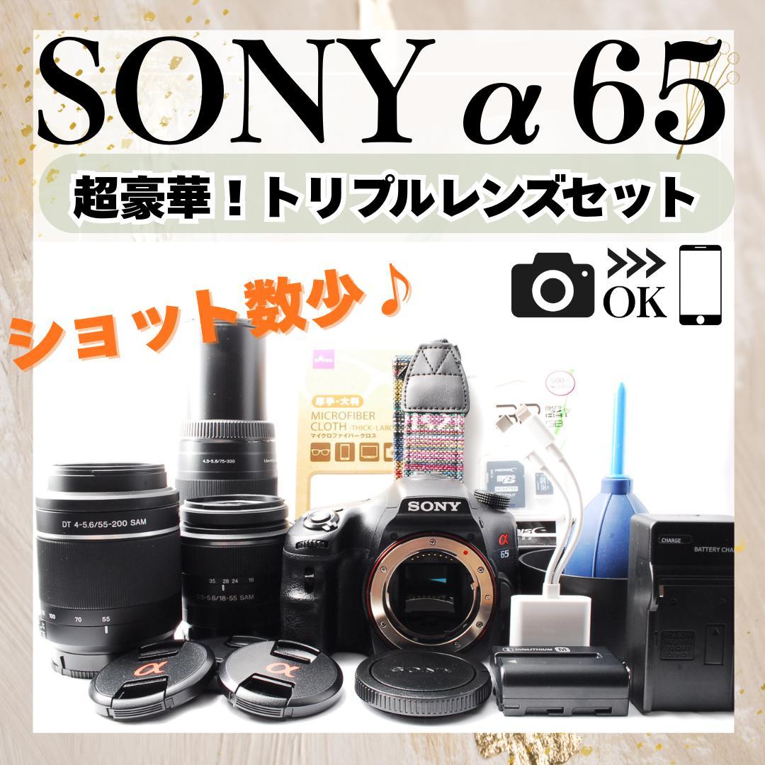 即購入で¥1000OFF❤️SONY α65 ✨トリプルレンズセット 超高画質