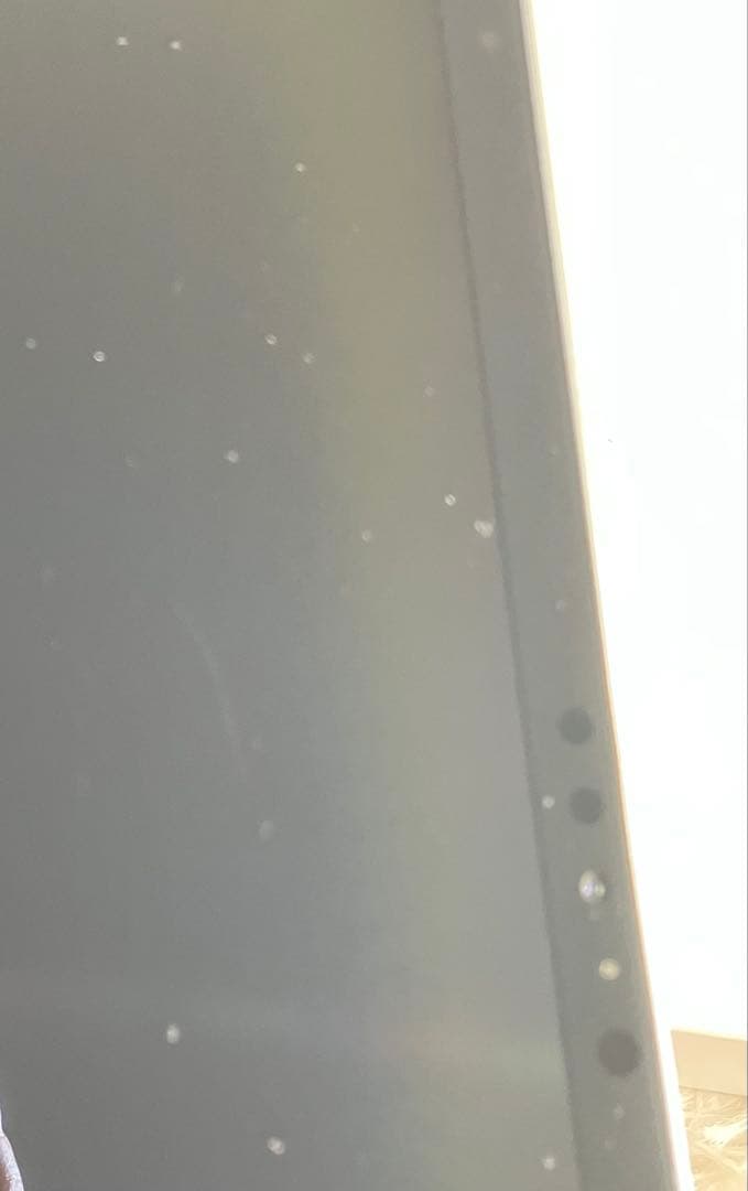 【1台限定価格】iPad Pro 12.9 第3世代 256GB 【すぐ発送】
