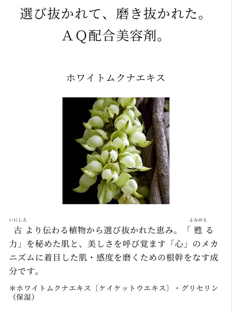 ＊コスメデコルテAQ リペアエッセンスシャンプー＆コンディショナーセット 新品