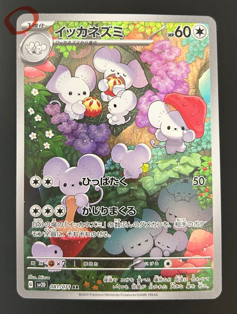 初期傷のみ 美品 AR コダック カメール コダック ゼニガメ イッカネズミ