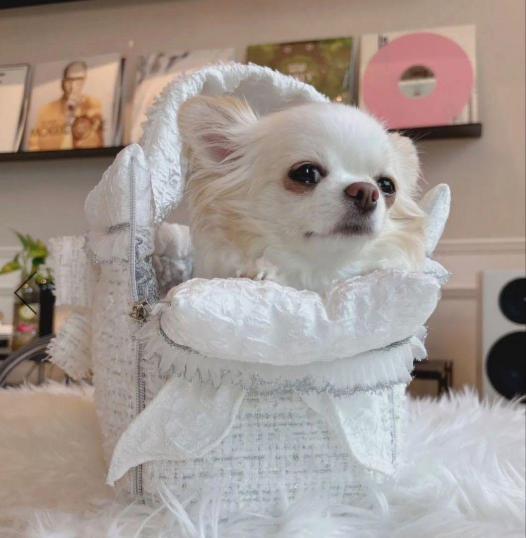 BABIANNA キャリーバッグ 小型犬用