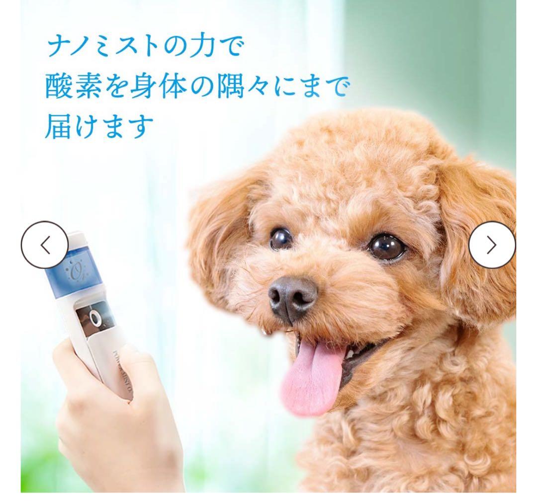 パワーミストO4 イオン化高分子酸素濃縮液　15,000ppm