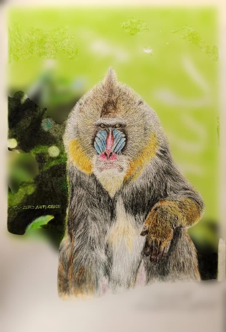 色鉛筆画