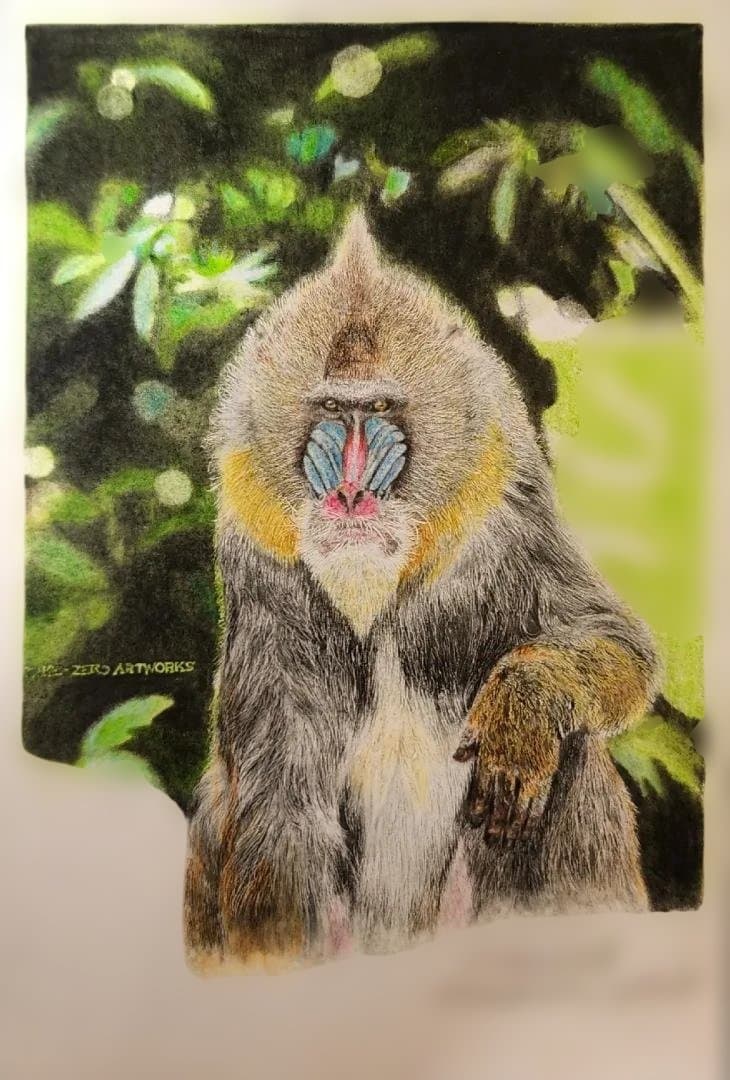 色鉛筆画