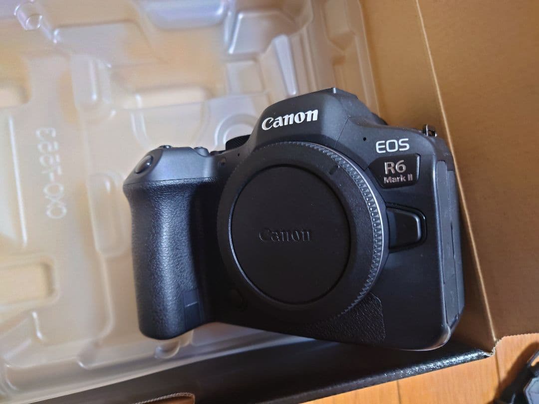 Canon EOSR6mark2 ボディ　あにー