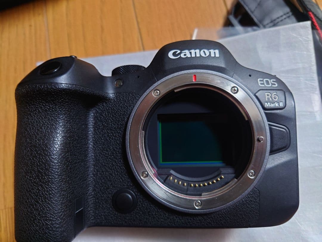 Canon EOSR6mark2 ボディ　あにー