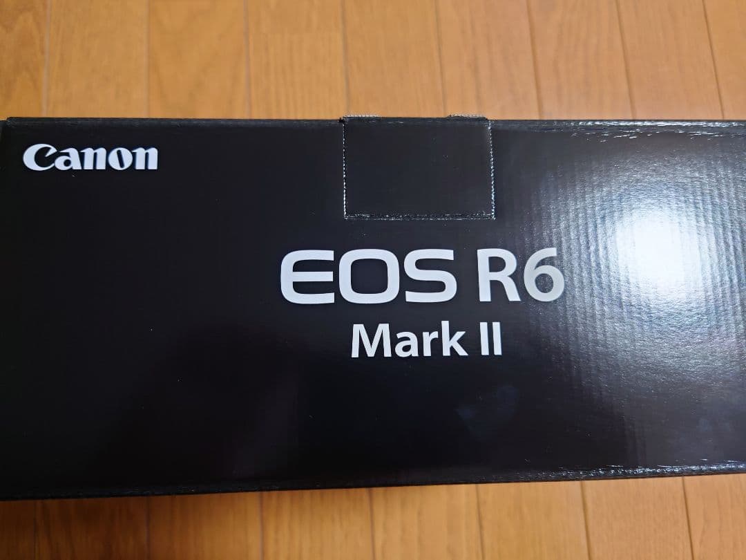 Canon EOSR6mark2 ボディ　あにー