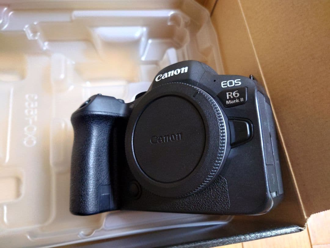 Canon EOSR6mark2 ボディ　あにー