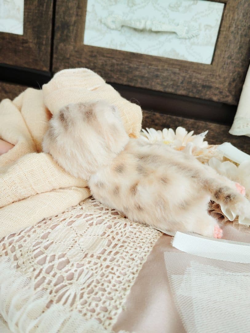 生後2日♡スナネコベビー♡生まれたて♡おねんねマット♡アートドール♡ぬいぐるみ♡