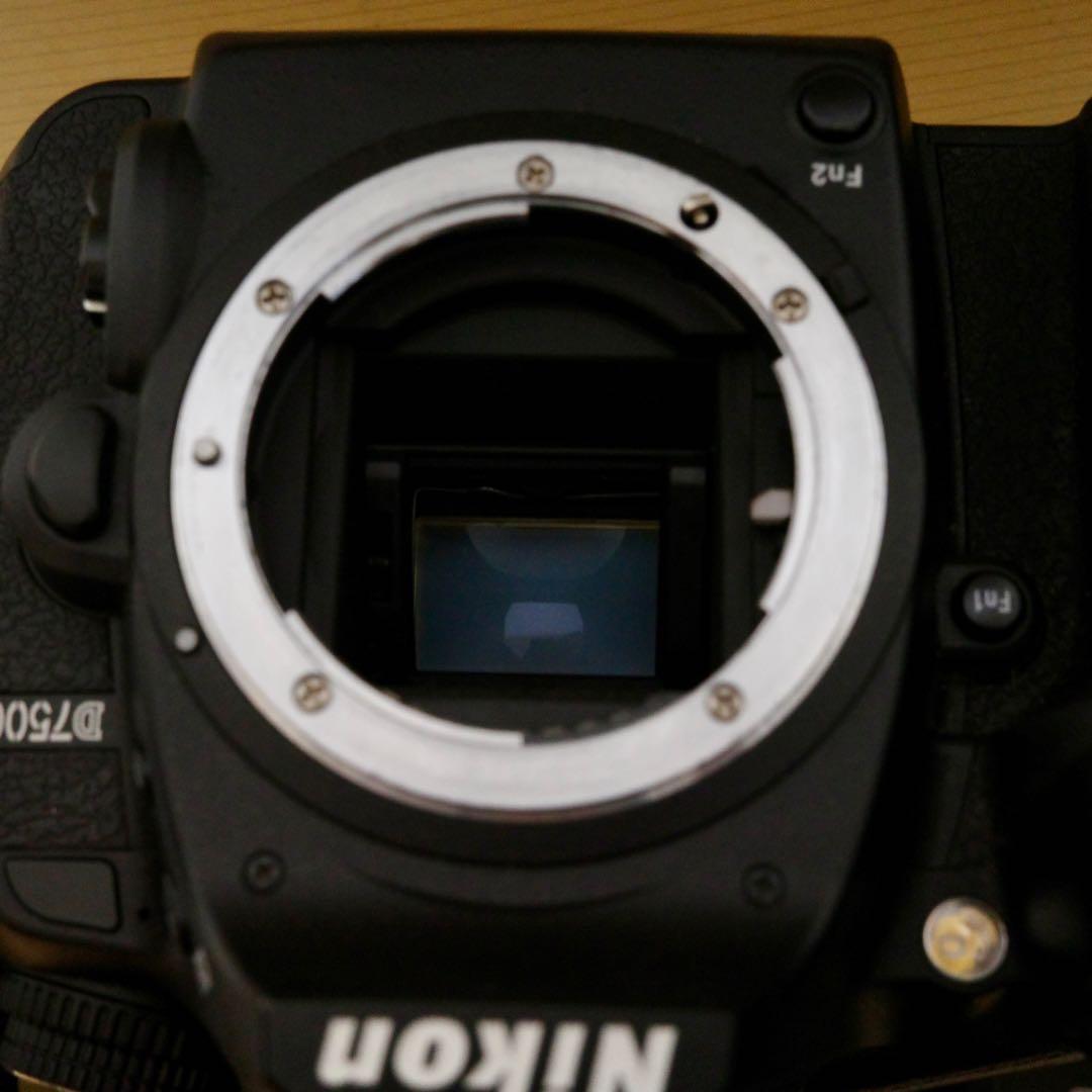 【Nikon D7500】シャッター回数8404回_本体＋レンズ2つ