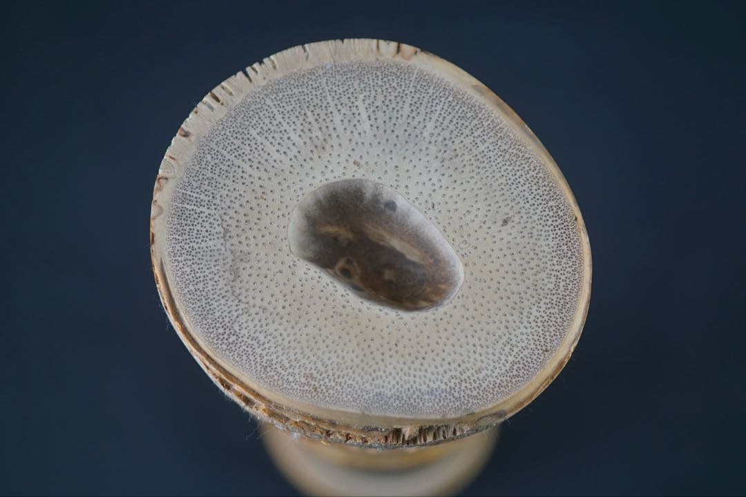 竹器師 影林宗篤 作 竹花入 小林太玄 書付 時代物 花入 花器
