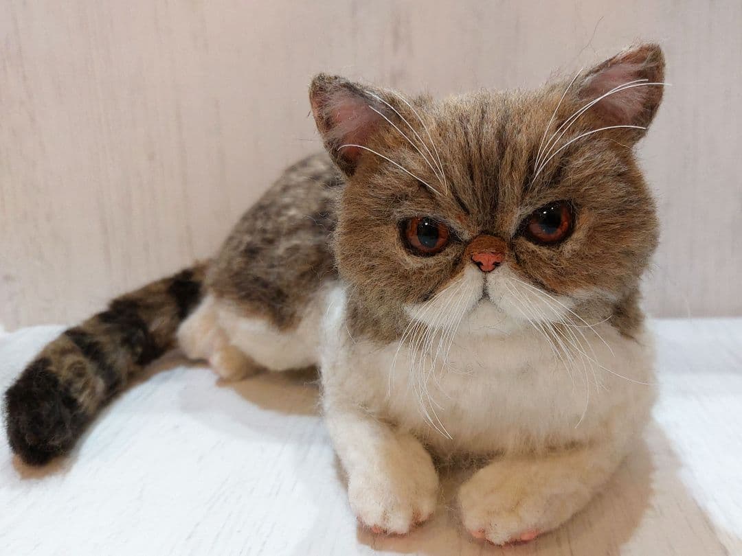 羊毛フェルト　猫　(エキゾチックショートヘア)