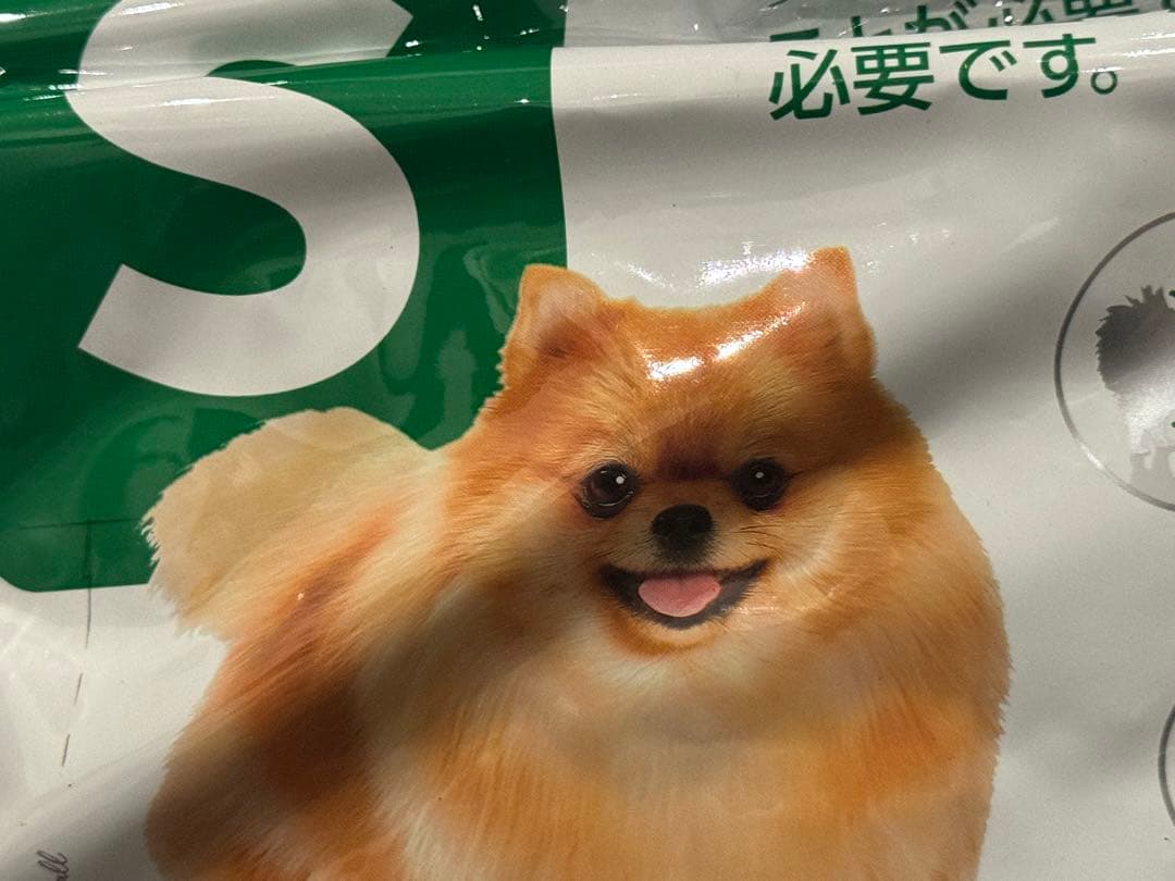 みよちゃん