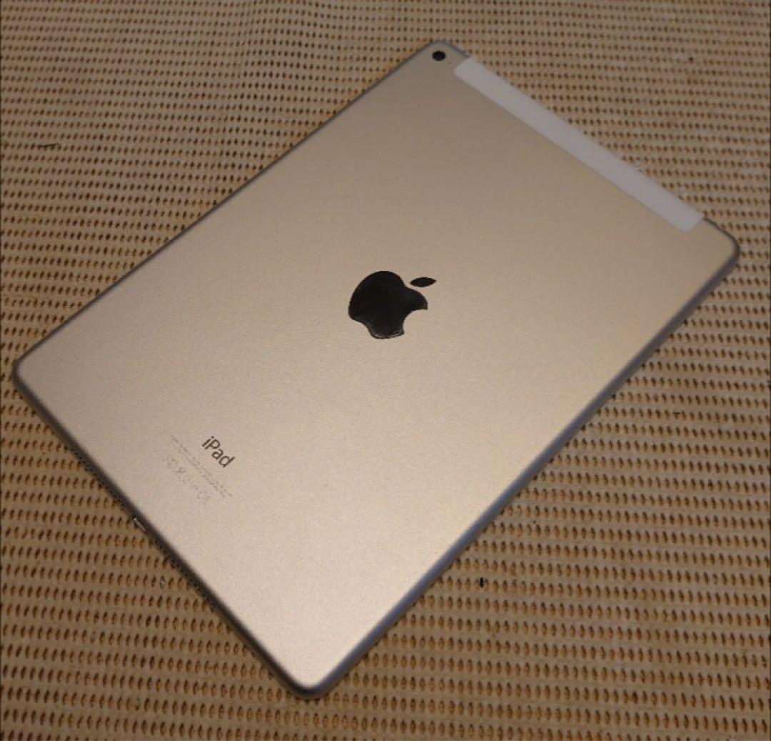 DMPQ6完動品美品iPad Air2(A1567)本体64GBドコモ送料込