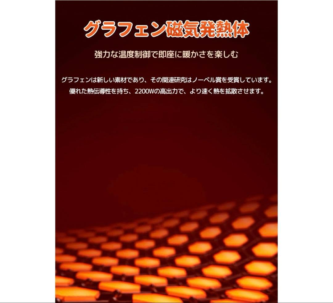電熱インソール 中敷き 温度調節リモコン付き 抗菌 ヒートインソール
