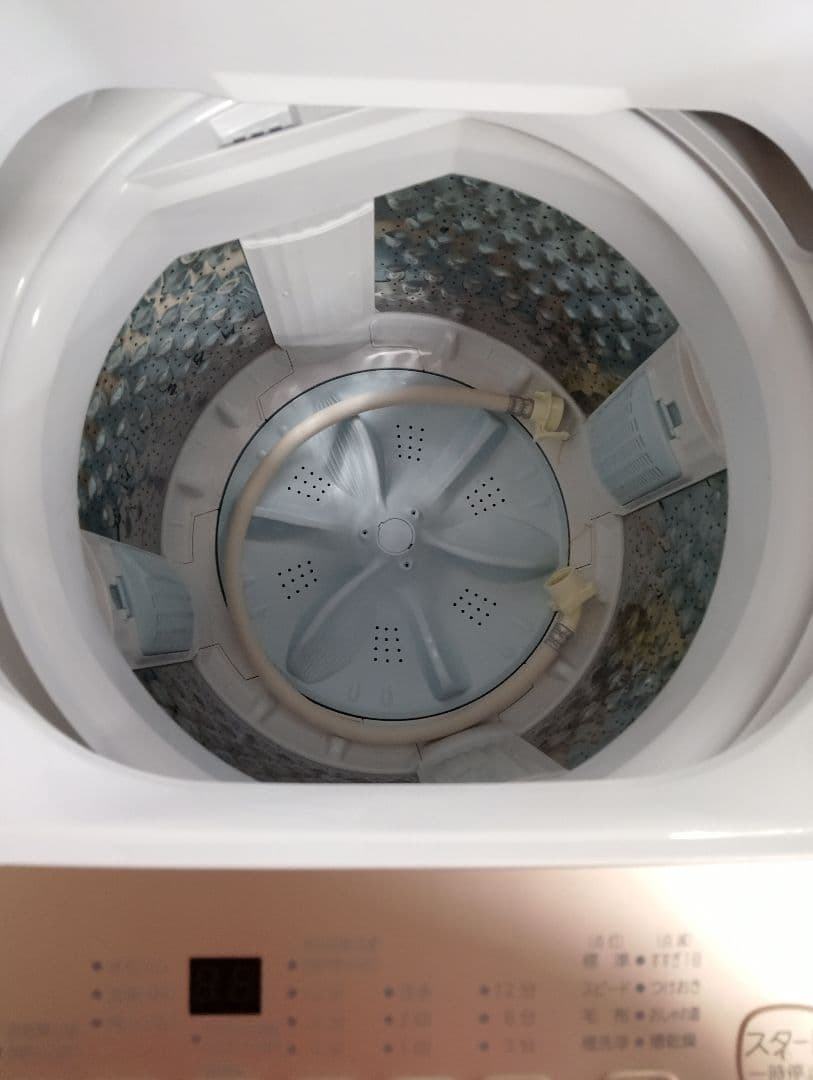洗濯機 2025年 AW-5GA4 洗濯5.0kg 東芝