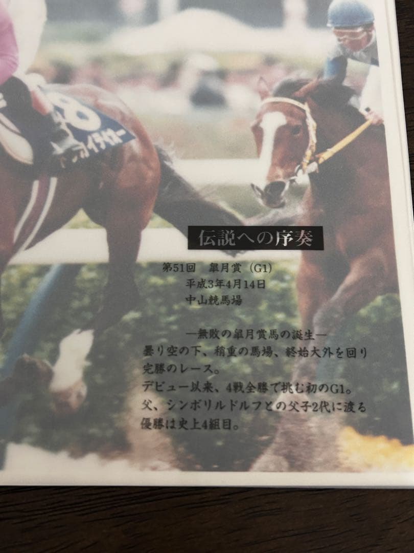 さらば奇跡よトウカイテイオ－引退記念報道写真集限定保存版