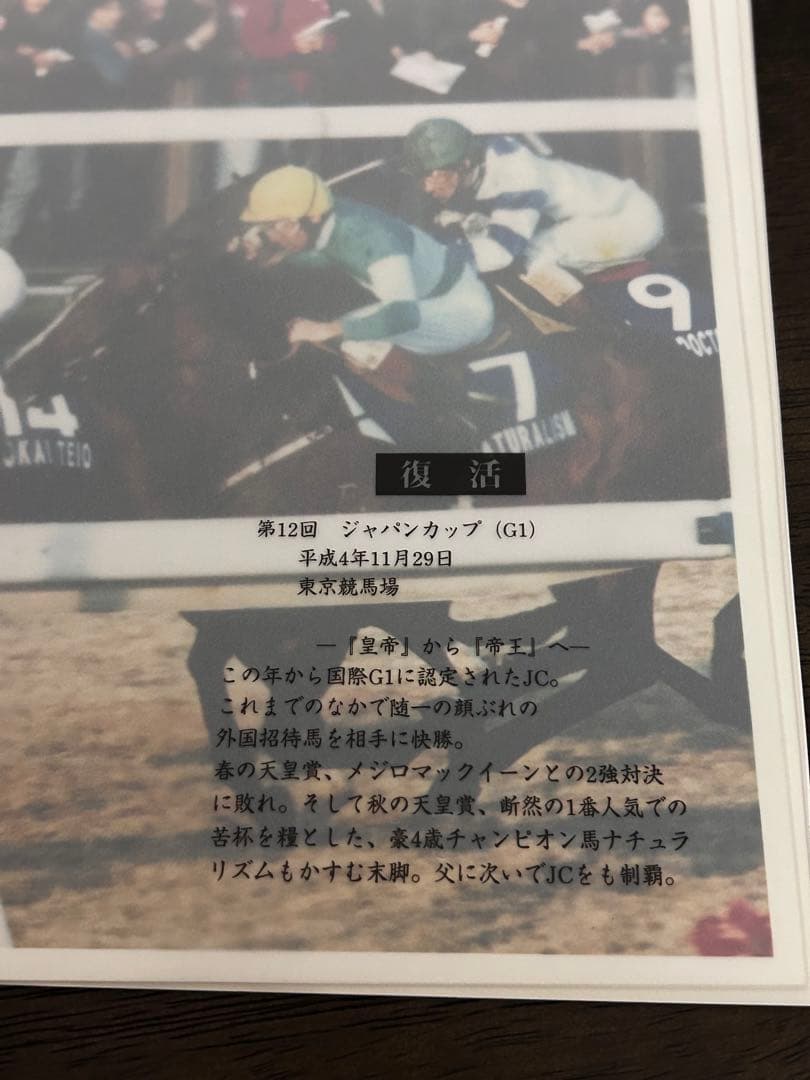 さらば奇跡よトウカイテイオ－引退記念報道写真集限定保存版