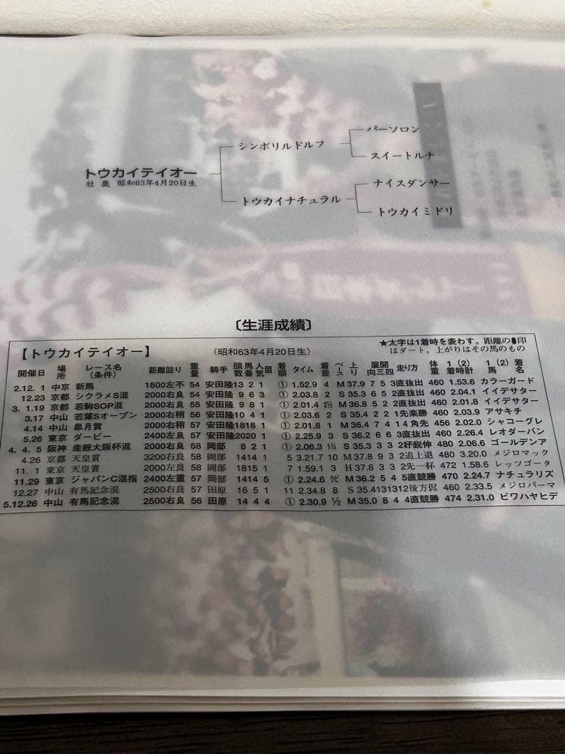 さらば奇跡よトウカイテイオ－引退記念報道写真集限定保存版